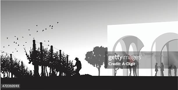 winery arches - vineyard worker stock illustrations
