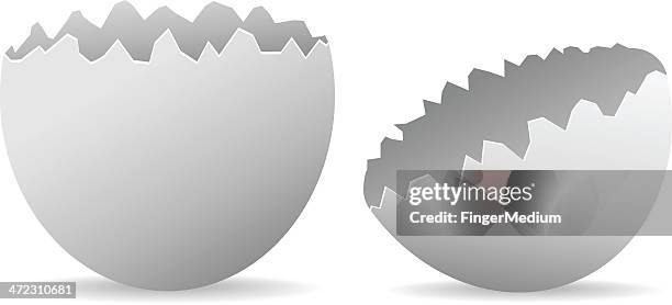 broken egg shell - shells isolated stock illustrations