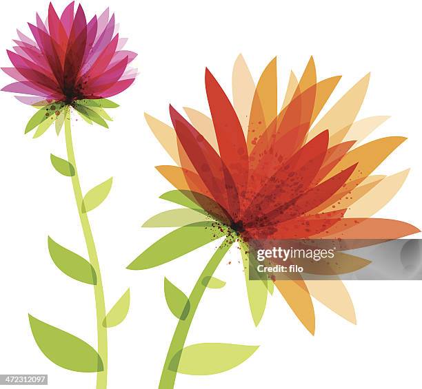 ilustraciones, imágenes clip art, dibujos animados e iconos de stock de vibrante abstract flores - plant stem