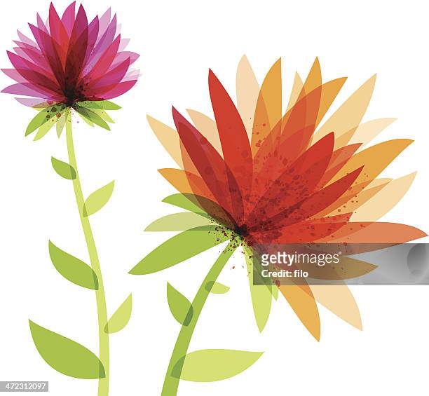 vibrant abstract flowers - plant stem stock illustrations