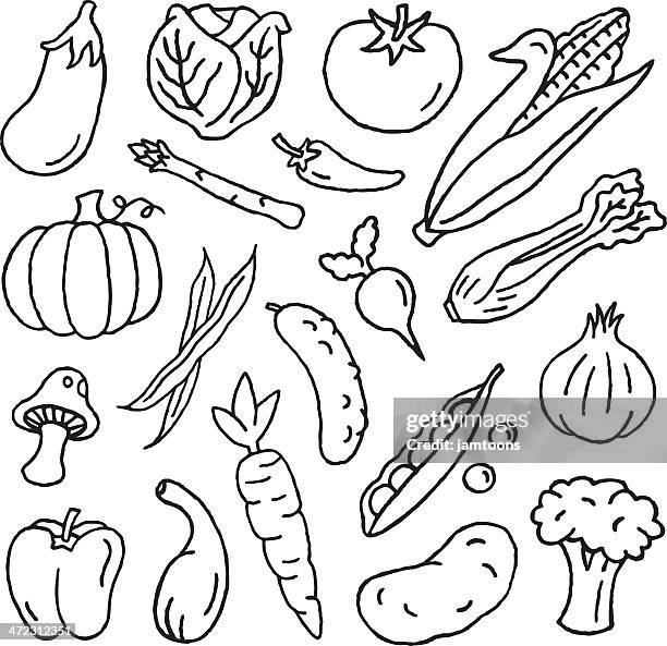 illustrazioni stock, clip art, cartoni animati e icone di tendenza di verdura e schizzi - verdure