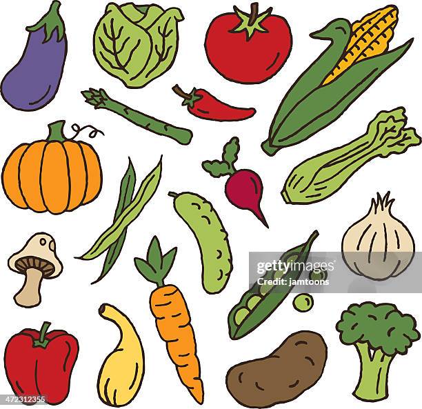 vegetables - iceberg lettuce stock illustrations