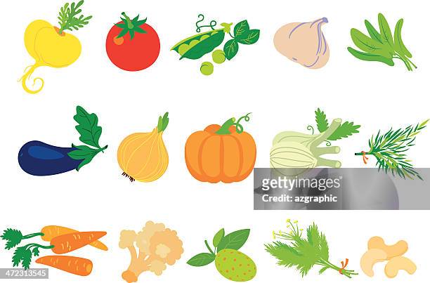 ilustraciones, imágenes clip art, dibujos animados e iconos de stock de gran conjunto de verduras - fennel