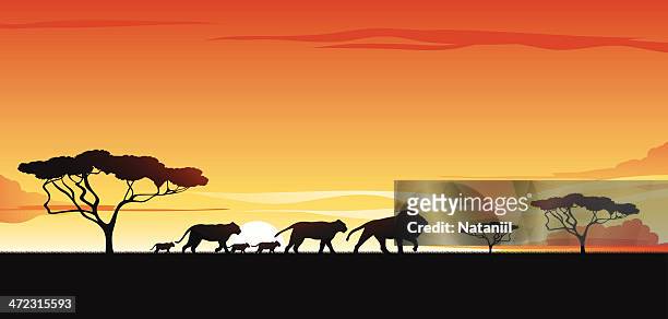 ilustrações de stock, clip art, desenhos animados e ícones de savana - grupo médio de animais