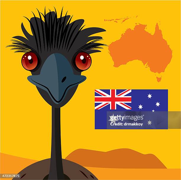 43 Cartoon Emu Photos and Premium High Res Pictures - Getty Images
