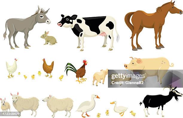 ilustraciones, imágenes clip art, dibujos animados e iconos de stock de big farm página de animal - concept does not exist