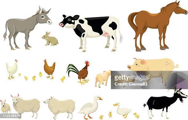 illustrazioni stock, clip art, cartoni animati e icone di tendenza di grande fattoria animali pagina - clip art