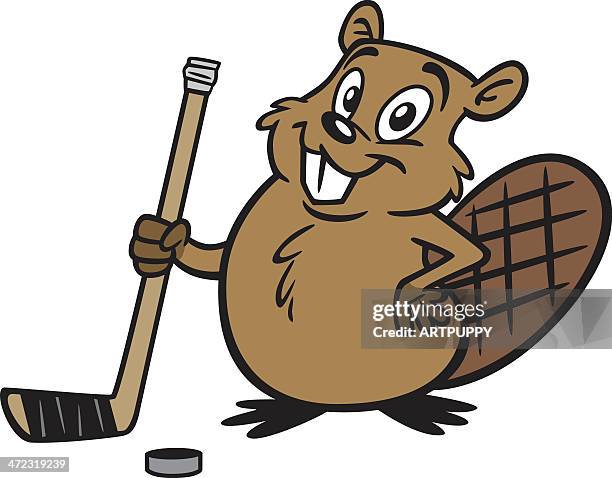 stockillustraties, clipart, cartoons en iconen met beaver hockey player - funny beaver