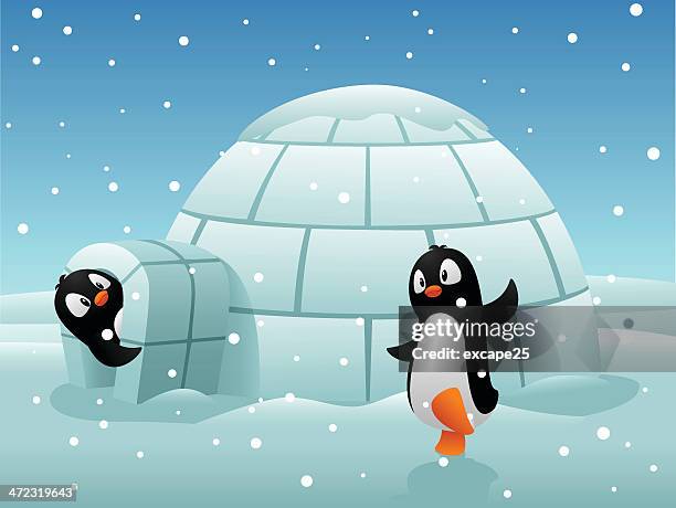 penguin sweet home - igloo stock illustrations