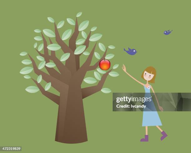girl pick apple from tree - apple picking vector stock illustrations