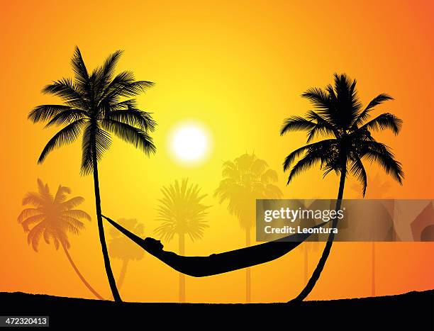 palm hängematte - hammock-between-palm-trees stock-grafiken, -clipart, -cartoons und -symbole