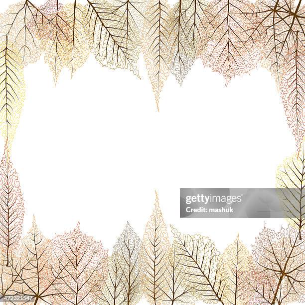 autumn frame - beech tree stock illustrations