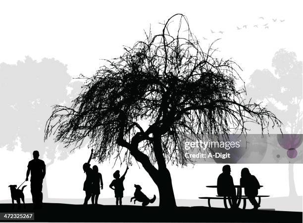 old tree - park table stock illustrations