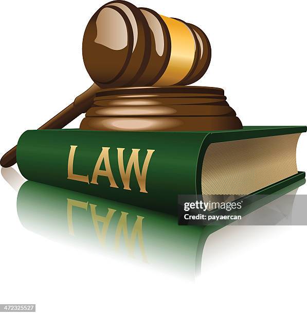 law - criminal justice stock illustrations