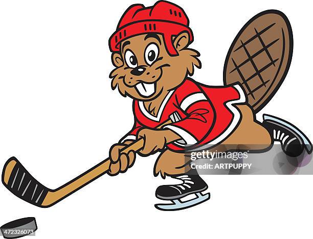 beaver playing hockey - hockey skates stock illustrations