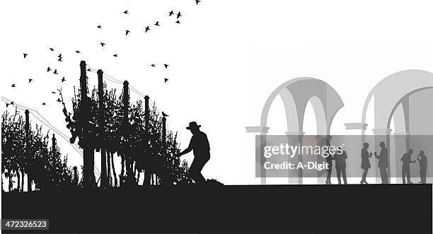 vineworker - vineyard worker stock illustrations
