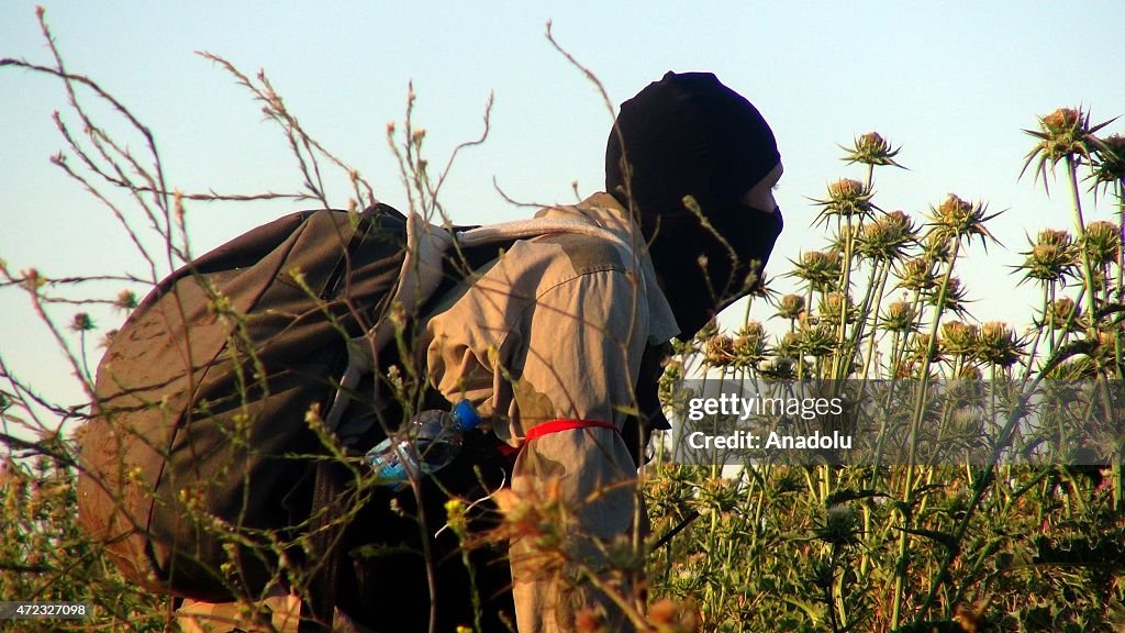 Free Syrian Army carries out operation against regime forces near Homs