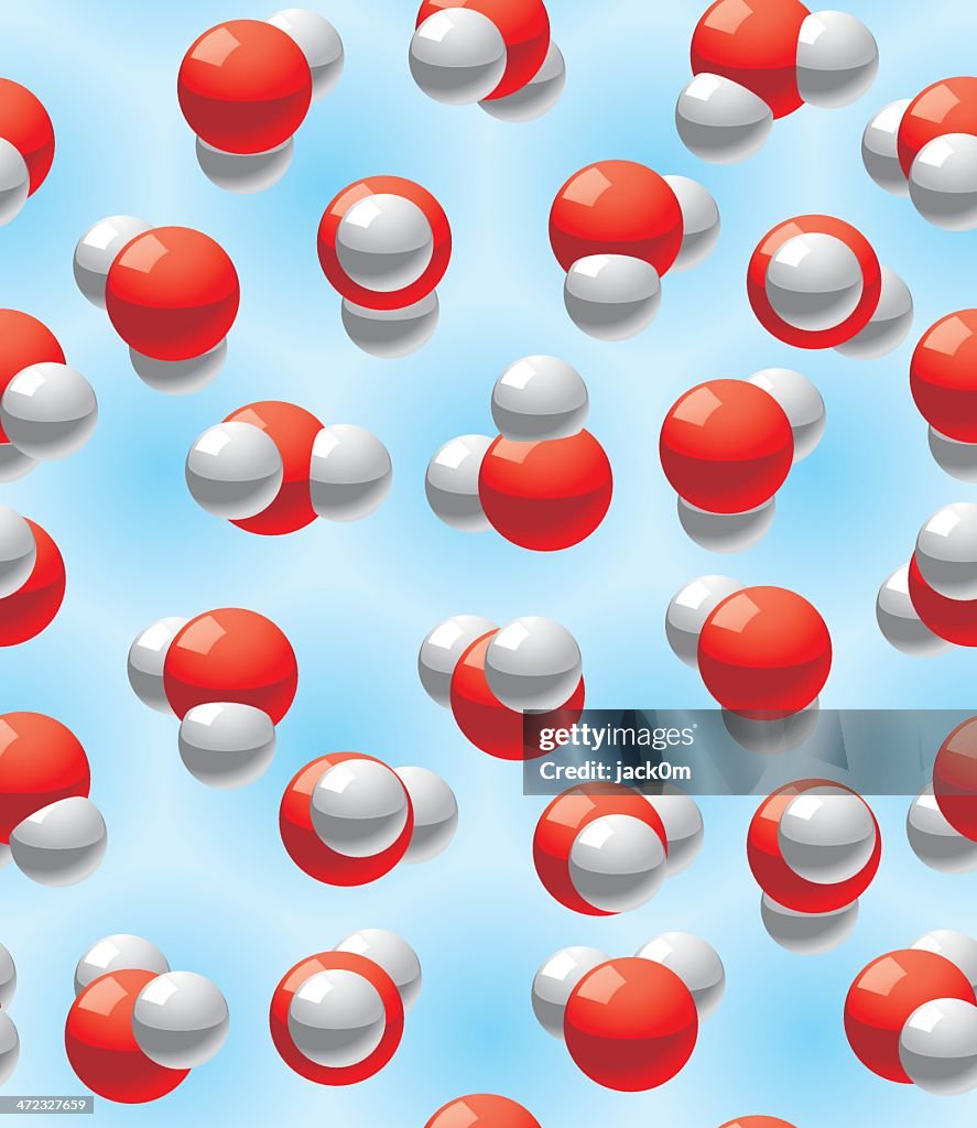 水分子