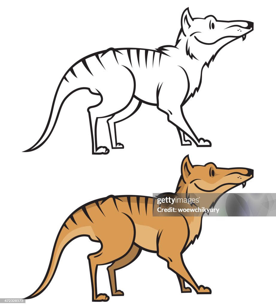 Tasmanian wolf vector