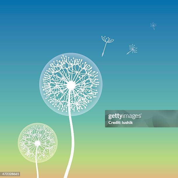 130点のタンポポの綿毛イラスト素材 Getty Images 130点のタンポポの綿毛イラスト素材 Getty Images