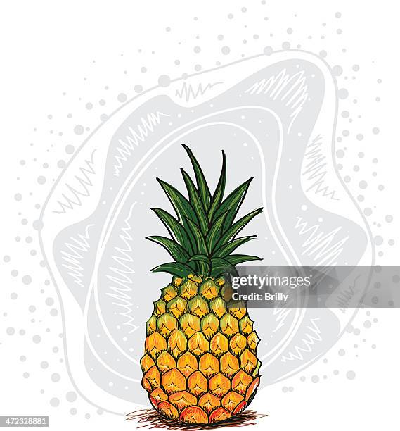 fresh pineapple - pineapple texture stock illustrations