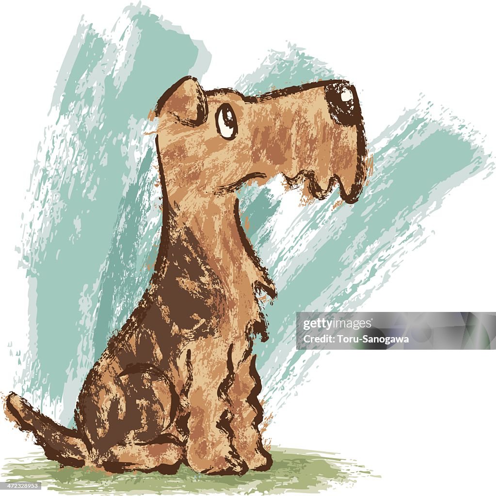 Welsh Terrier