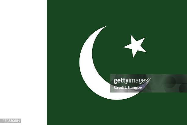 flagge von pakistan - pakistan stock-grafiken, -clipart, -cartoons und -symbole