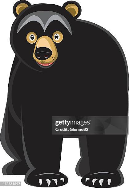 black bear looking - american black bear stock illustrations