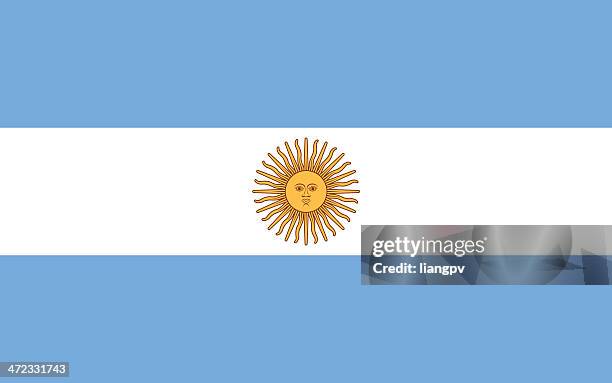 ilustraciones, imágenes clip art, dibujos animados e iconos de stock de bandera de argentina - bandera argentina