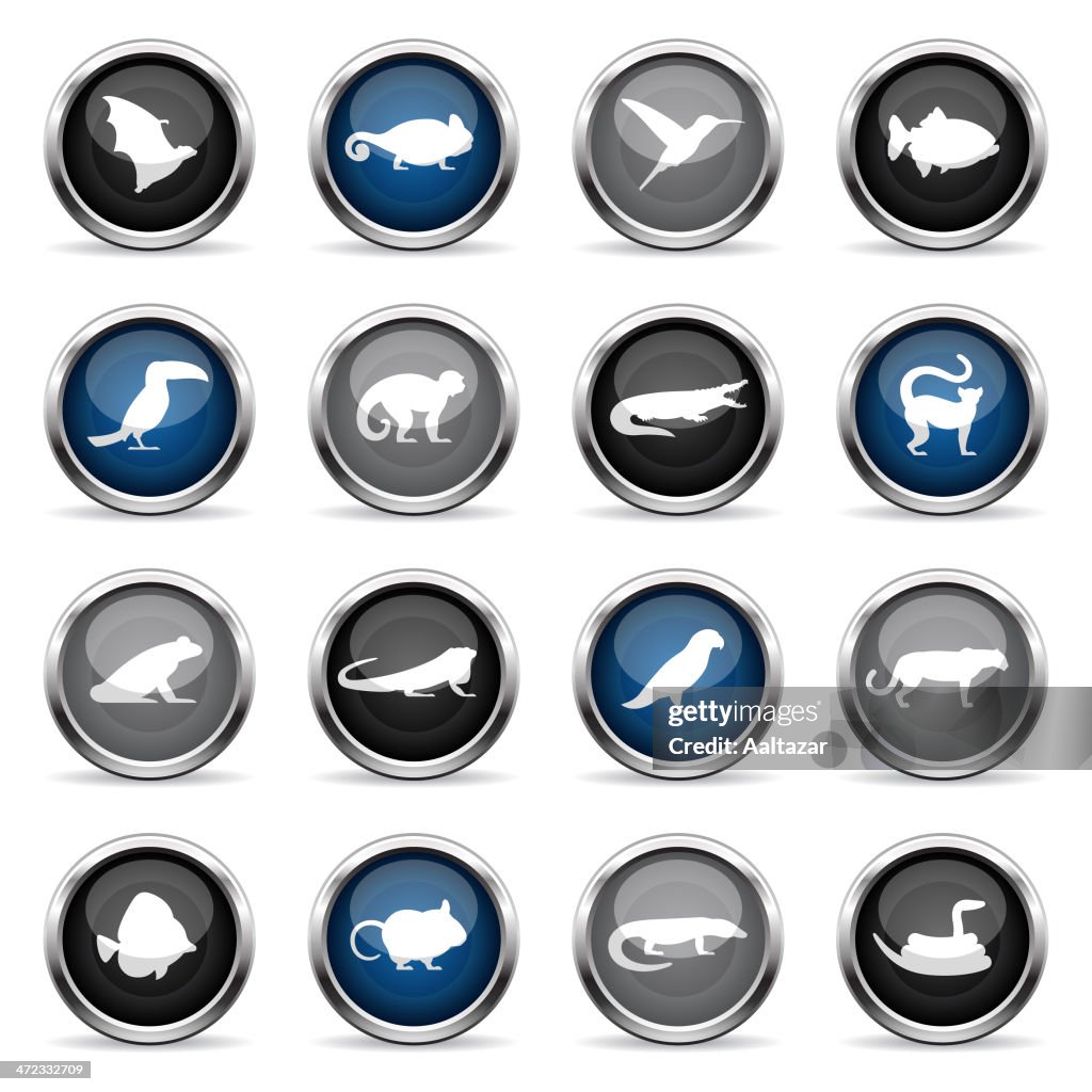 Supergloss Icons - Exotic Animals