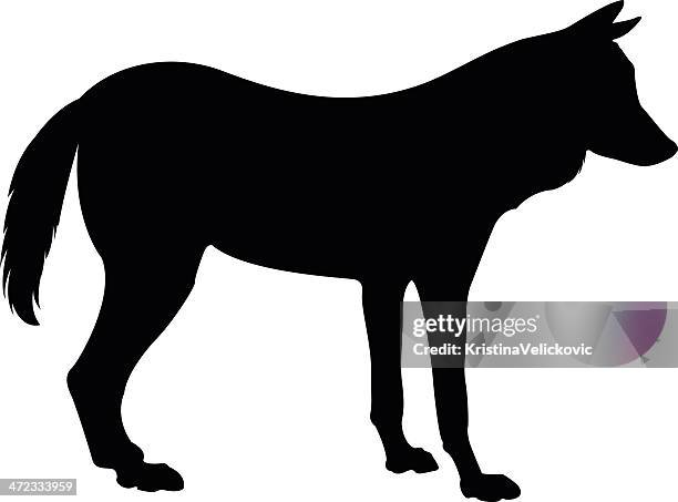 wolf - wolf stock illustrations