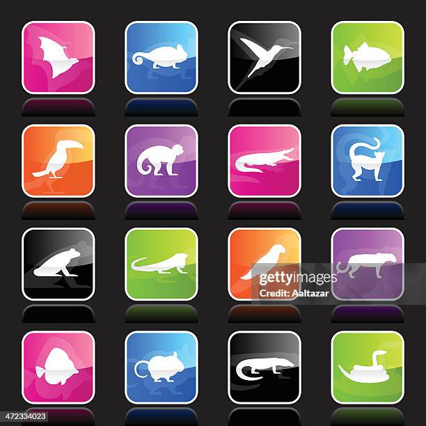 ubergloss icons - exotic animals - lemur icon stock illustrations