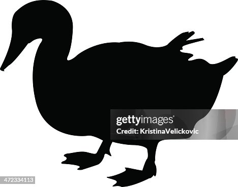 Duck Duck