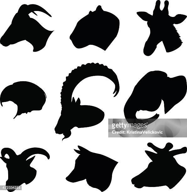 wild animals - horn stock illustrations