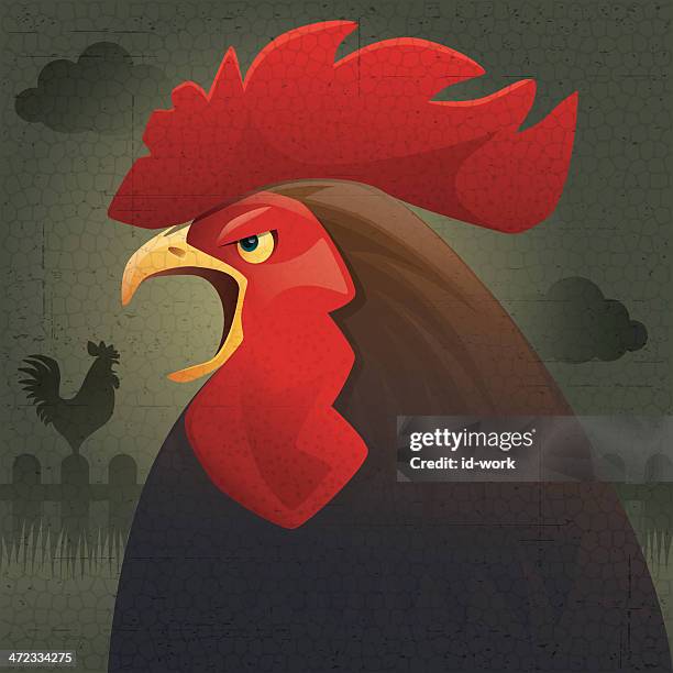 crowing rooster - angry rooster stock illustrations