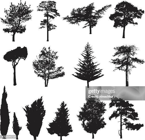 stockillustraties, clipart, cartoons en iconen met silhouettes of pines - naald plantdeel