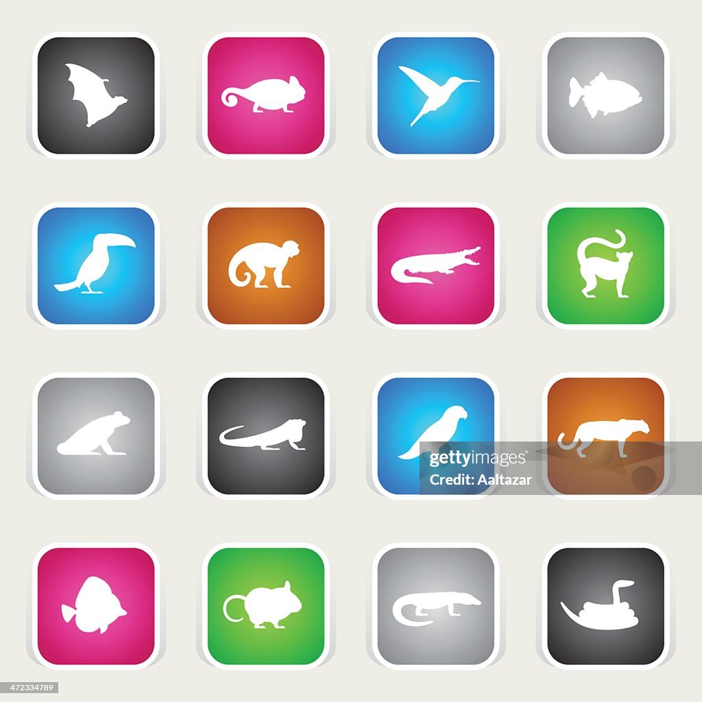 Multicolor Icons - Exotic Animals