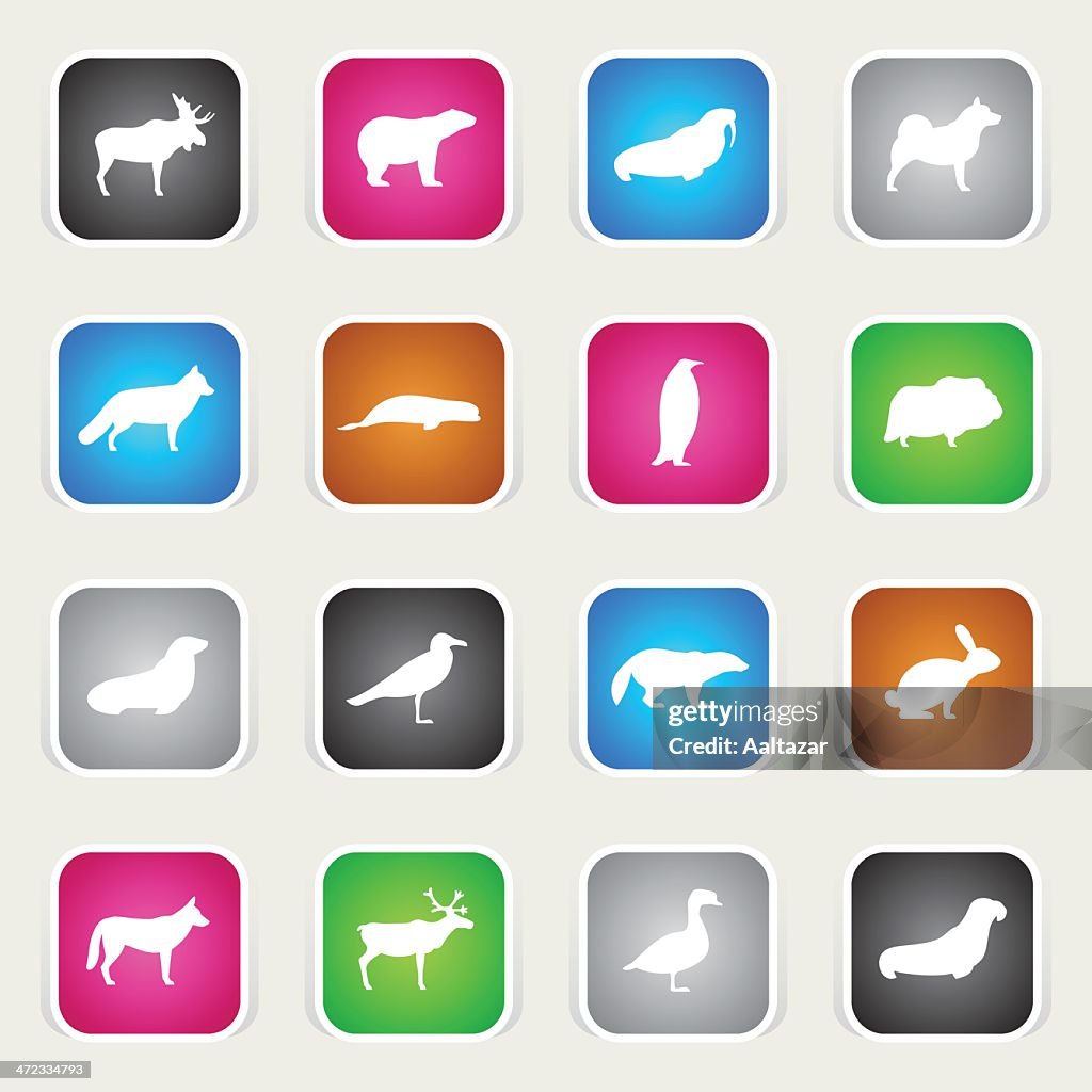 Icônes animaux-Polaire multicolore