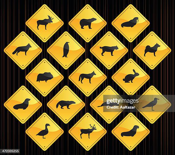yellow road signs - polar animals - hare isolated stock illustrations