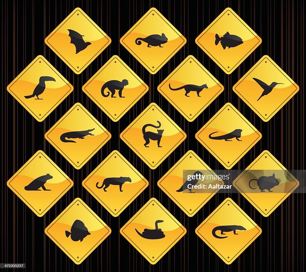 Yellow Road Signs - Exotic Animals