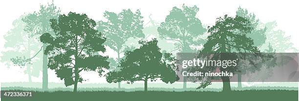 green forest - nadel pflanzenbestandteile stock-grafiken, -clipart, -cartoons und -symbole