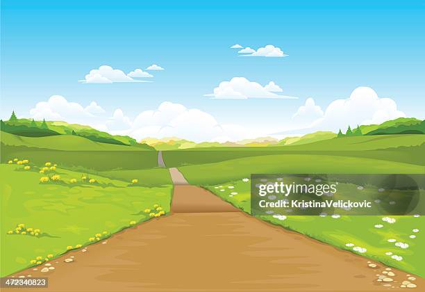 landscape - chamomile field stock illustrations