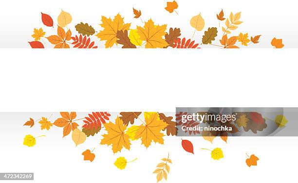 autumn banner - ash tree stock illustrations