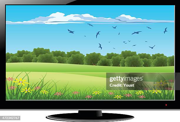 258 Ilustraciones de Tv Led - Getty Images 258 Ilustraciones de Tv Led - Getty Images