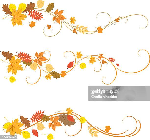 autumn ornaments illustrated on a white background - chestnut tree stock illustrations