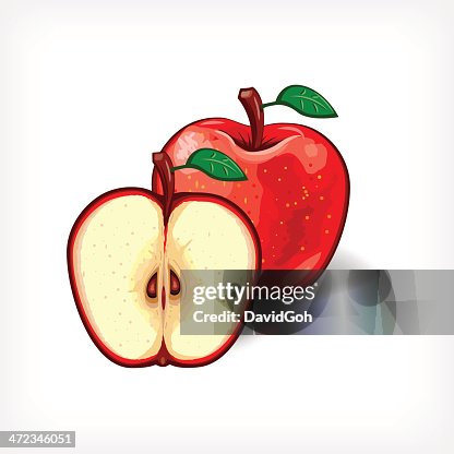 Vector Apple Vector Apple