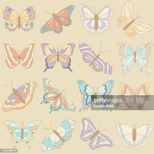 illustrations, cliparts, dessins animés et icônes de ensemble de papillons - swallowtail butterfly