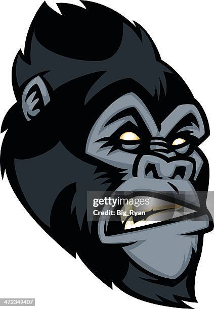 ilustrações de stock, clip art, desenhos animados e ícones de gorila rosto - zona de sasquatch