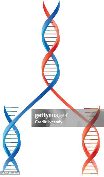 dna molekularen - genetic variant stock-grafiken, -clipart, -cartoons und -symbole