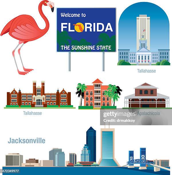 florida symbols - flamingo vector stock illustrations